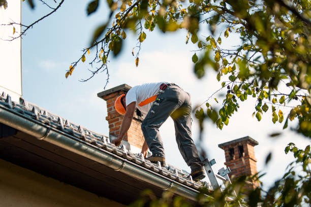 Best Chimney Flashing Repair  in Thornton, IL